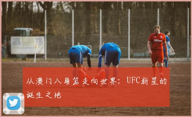从澳门八角笼走向世界:UFC新星的诞生之地