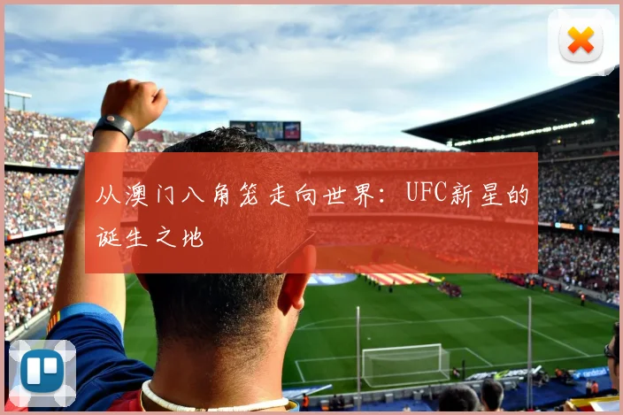 从澳门八角笼走向世界:UFC新星的诞生之地