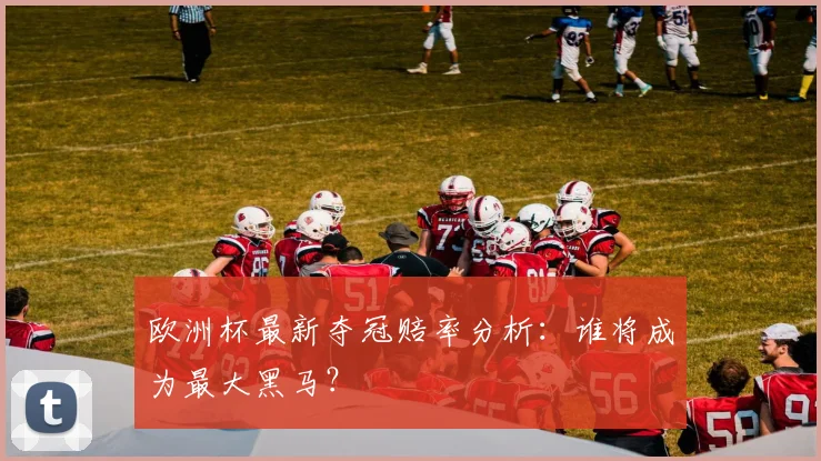 欧洲杯最新夺冠赔率分析：谁将成为最大黑马？