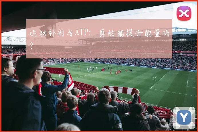 运动补剂与ATP：真的能提升能量吗？