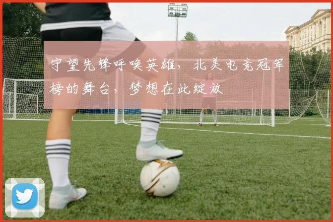 守望先锋呼唤英雄，北美电竞冠军榜的舞台，梦想在此绽放