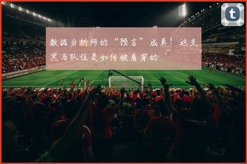 数据分析师的“预言”成真！这支黑马队伍是如何被看穿的